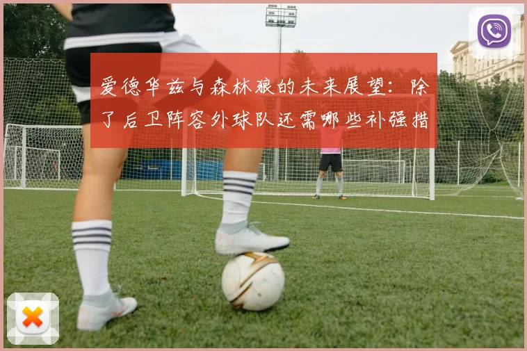 爱德华兹与森林狼的未来展望：除了后卫阵容外球队还需哪些补强措施