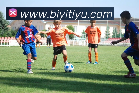 必一体育APP 封面图